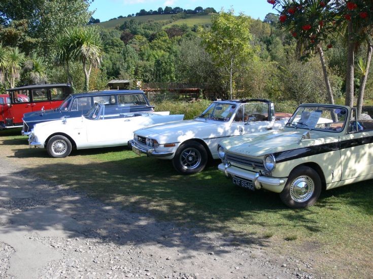 4 more lovelies at Buckfastleigh