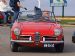 Red Alfa