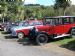 4 more beauties at Buckfastleigh