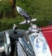 Detail of 1932 Hotchkiss in Maaseik ( B )   4
