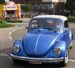 blue Beetle Cabrio in Maaseik ( B )