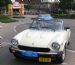 1982 American Spider in Maaseik ( B )