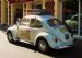 1968 Australian Beetle