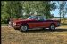 Triumph Stag