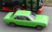 Pistachio Taunus