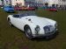 MGA