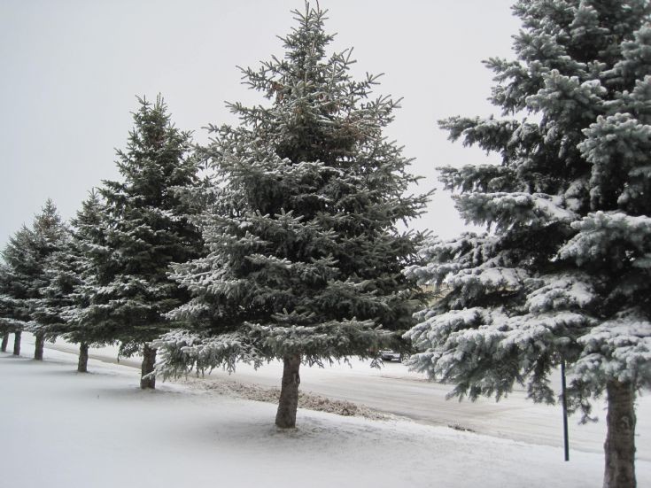 Winter in Minnesota