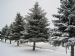 Winter in Minnesota