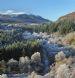 Frosty valley of Sitka Spruce and Silver Birch, Glen Glass, Scotland