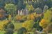 Mixed Woodland showing a collage of Autumn Colour, Aigas Field Centre, Inverness-shire