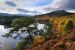 Caledonian Scots Pine (Pinus sylvestris) & Silver Birch (Betula pendula), Loch Beinn a Mheadhoin, Glen Affric, Scotland