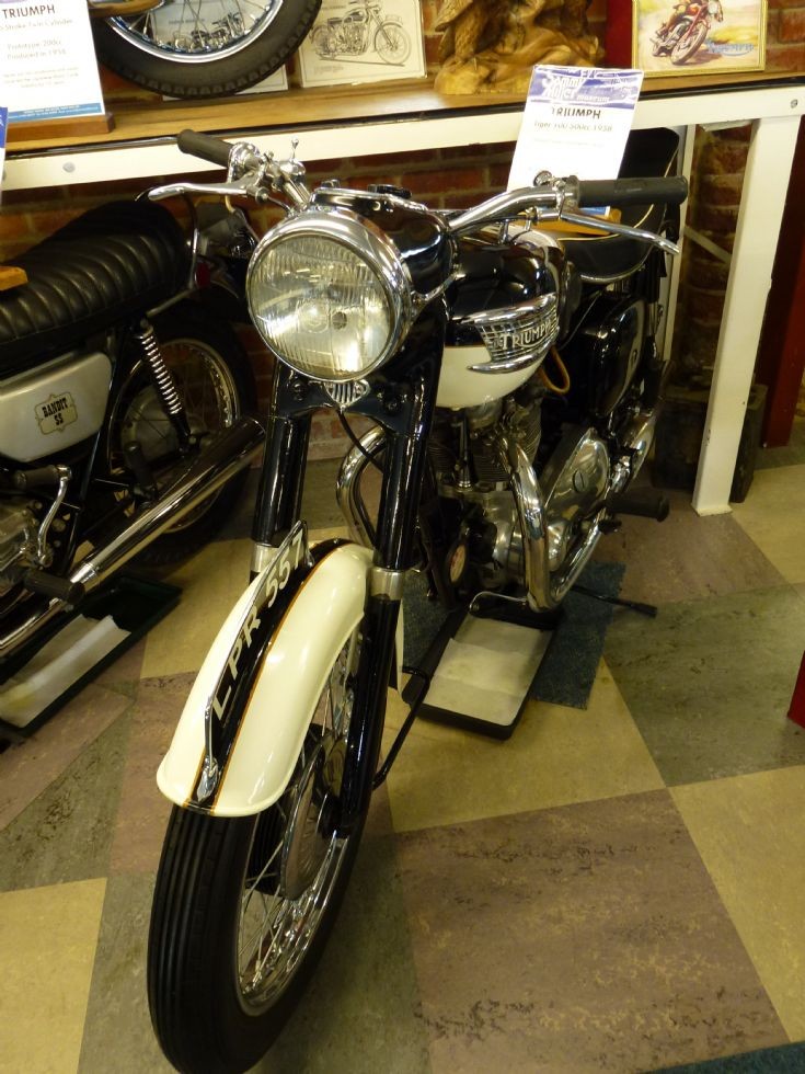 Triumph Tiger T100