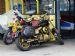Harley Davidson - gold and black