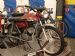 Flandria SP547