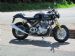 Norton