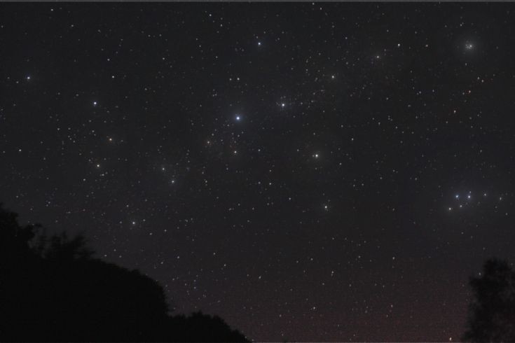 Cygnus