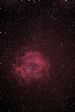 The Rossette Nebula