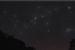 Cygnus