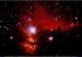 The Flame Horsehead Nebula
